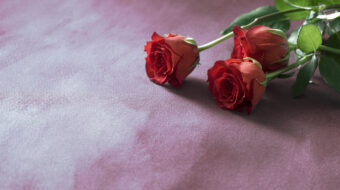 Red roses flower bouquet on pink stone table. Top view with copy space