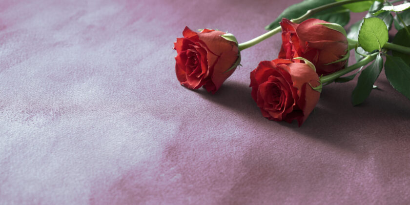 Red roses flower bouquet on pink stone table. Top view with copy space